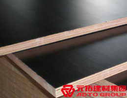 木模板的材料有哪些？各自有什么特點？