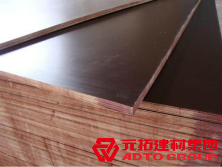  河北木模板如何選購？建筑木模板選購注意哪些方面？