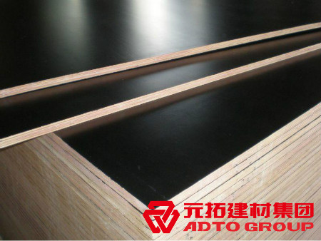 河北建筑木模板生產(chǎn)廠家怎么選購(gòu)？